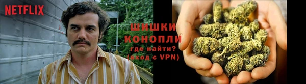 спайс Алзамай