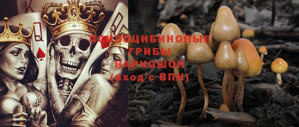 хмурый Абдулино