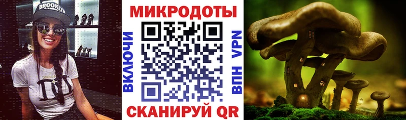 Псилоцибиновые грибы Psilocybine cubensis  где можно купить   Кашира 